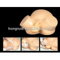 Newly High Quality Medical Midwifery Training Model,vacuum delivery model